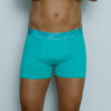 Boxer Liso