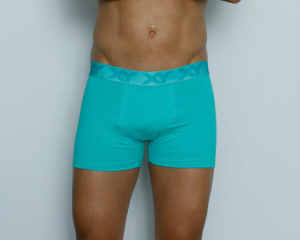 Boxer Liso