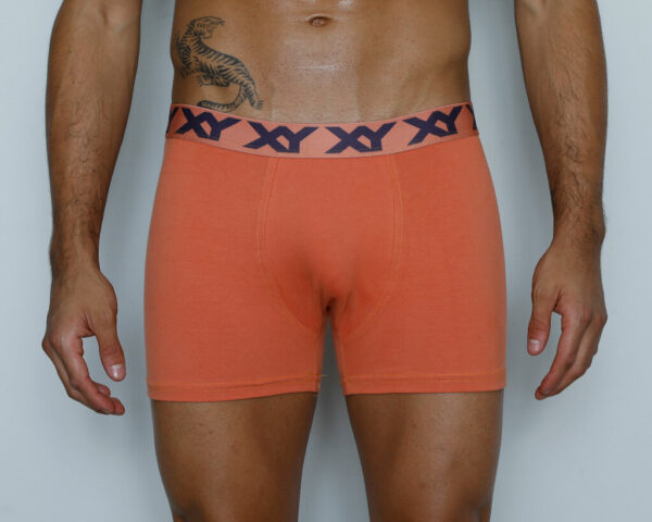 Boxer Liso