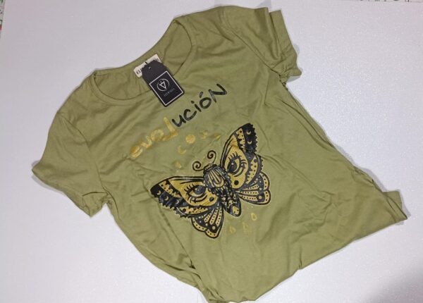 Remera Evolución