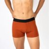 Boxer Liso TOM