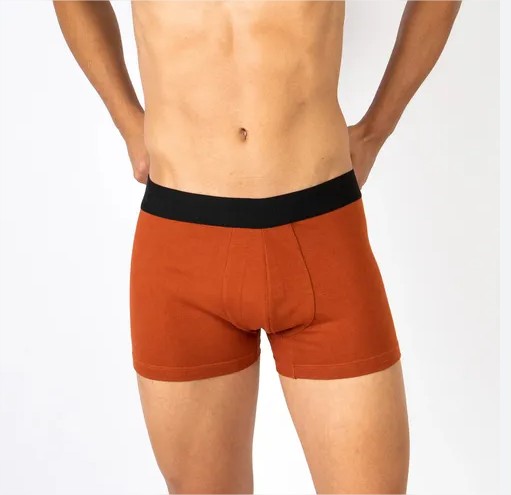 Boxer Liso TOM